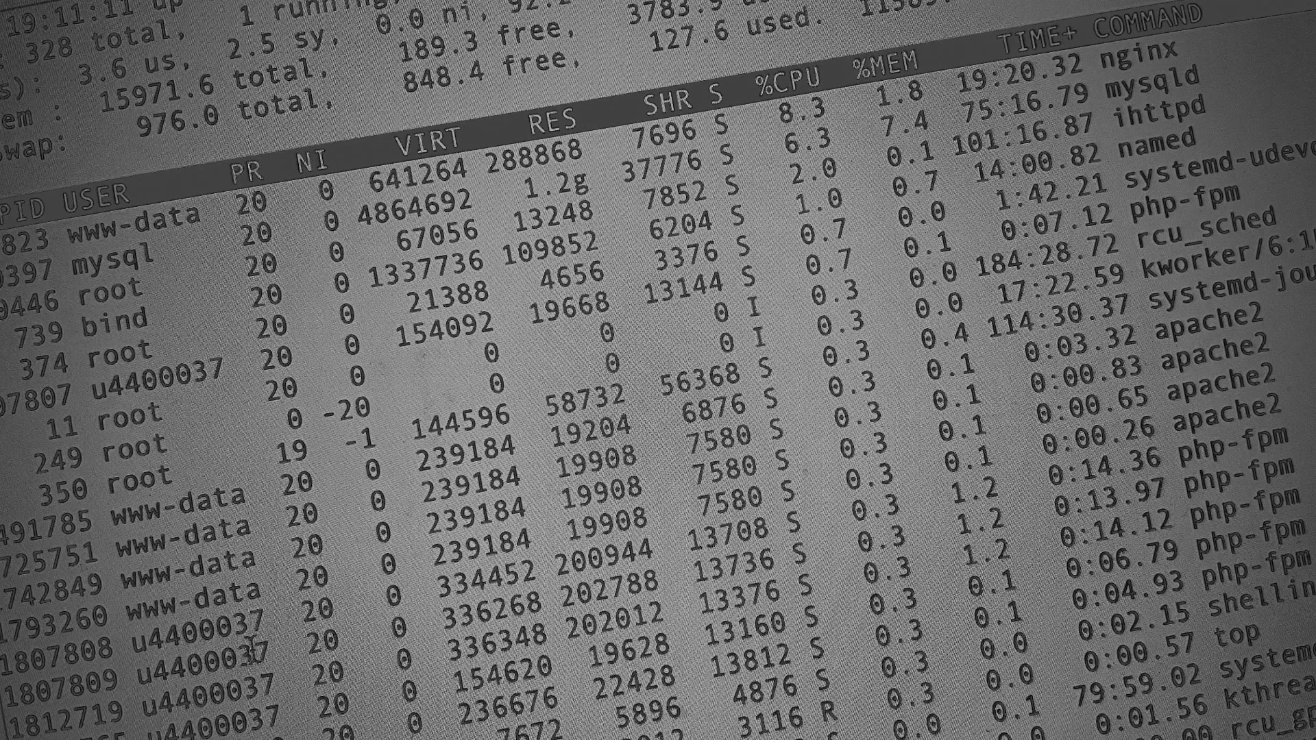 Настройка сервера в Сосногорске