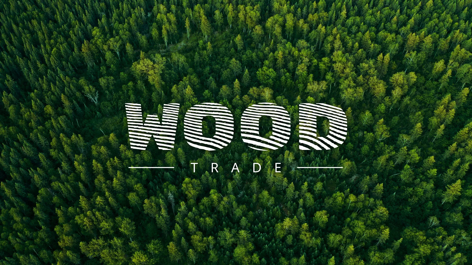 Разработка интернет-магазина компании «Wood Trade» в Сосногорске